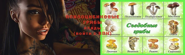 a pvp Арсеньев